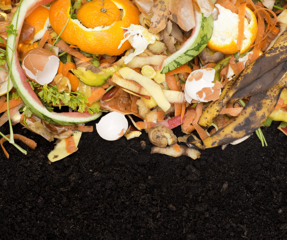Consider allowing compost, healthy homes produce less waste