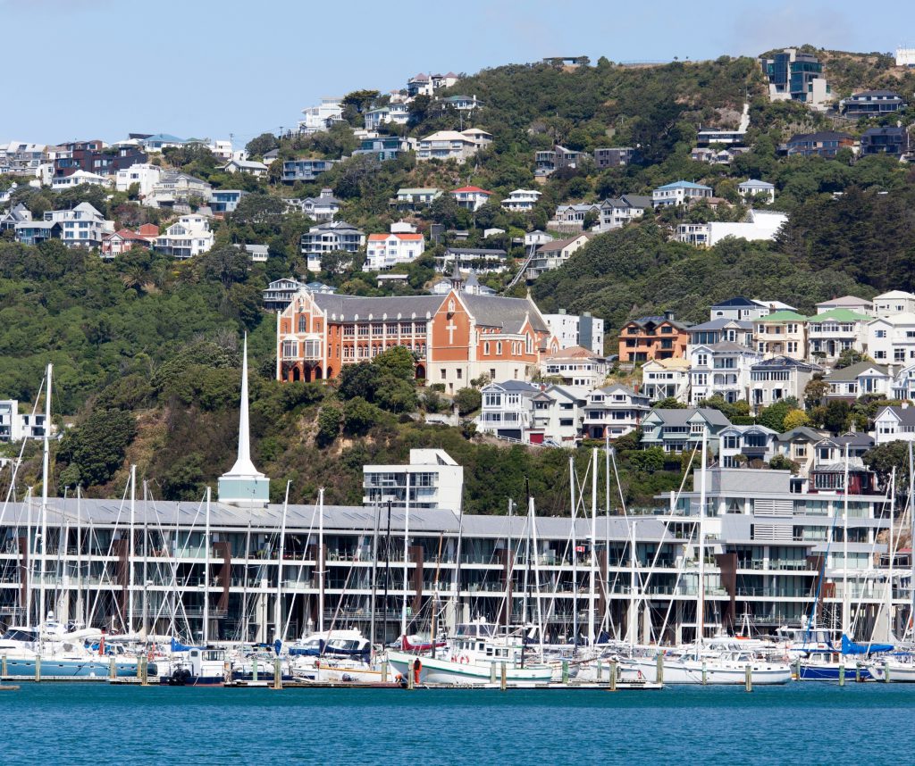 Residential properties on Mount Victoria from the Oriental Bay side